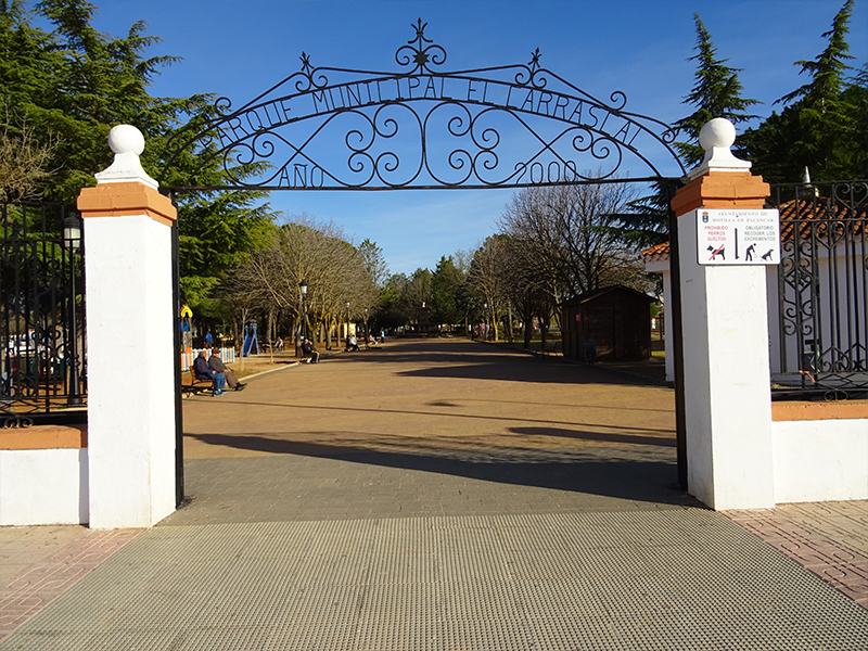 Parque carrascal 1