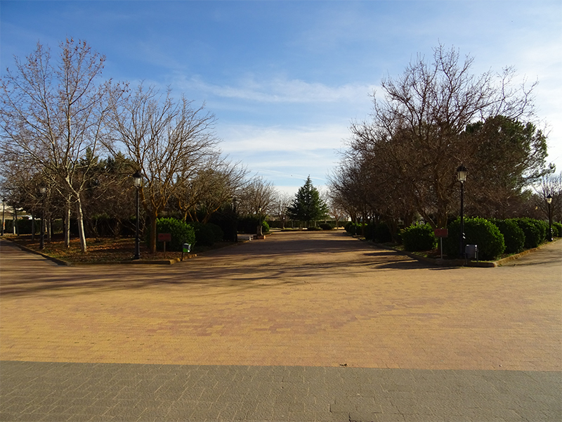 Parque carrascal 27