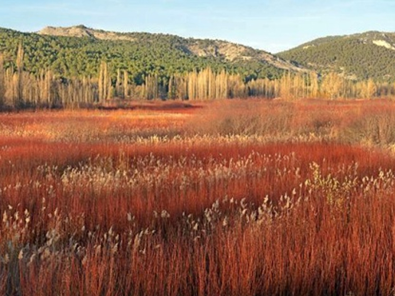 Castilla-La Mancha bate récord de visitantes y pernoctaciones en turismo rural - imagen 1