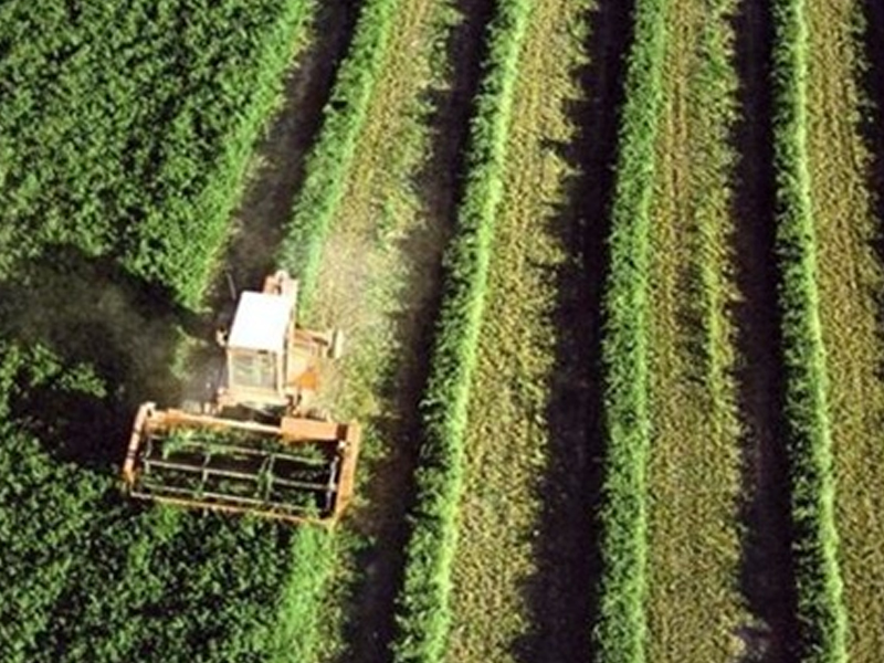 Ordenado el pago de 21 millones de euros de la PAC a los agricultores y ganaderos de Castilla-La Mancha - imagen 1