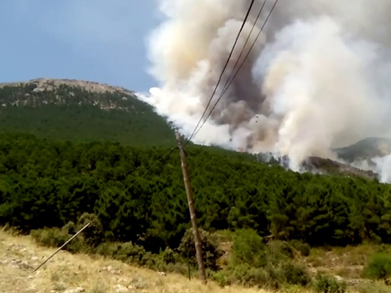 Sigue fuera de control el incendio producido en el municipio de Yeste - imagen 1