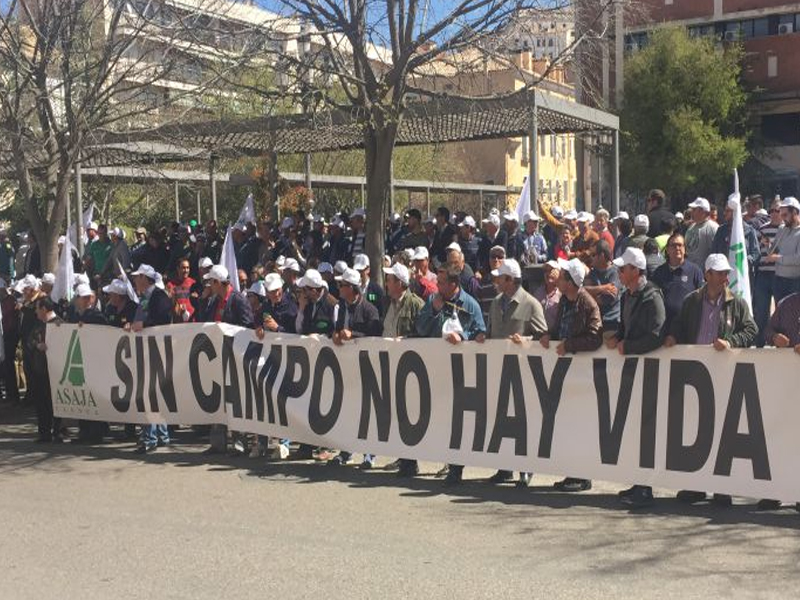 ASAJA iniciará actuaciones contundentes por los daños que provoca la caza mayor - imagen 1