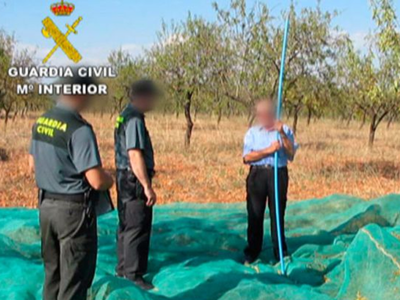 Los robos en el campo se reducen a la mitad en cuatro años - imagen 1