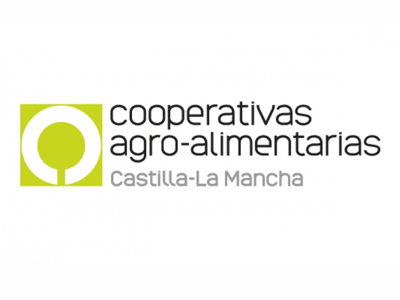 Este martes 22 de agosto se presenta Manchuela Wines Group, Cooperativa de segundo grado en Villarta - imagen 1