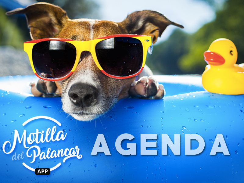 Agenda fin de semana | 25, 26 y 27 de Agosto - imagen 1