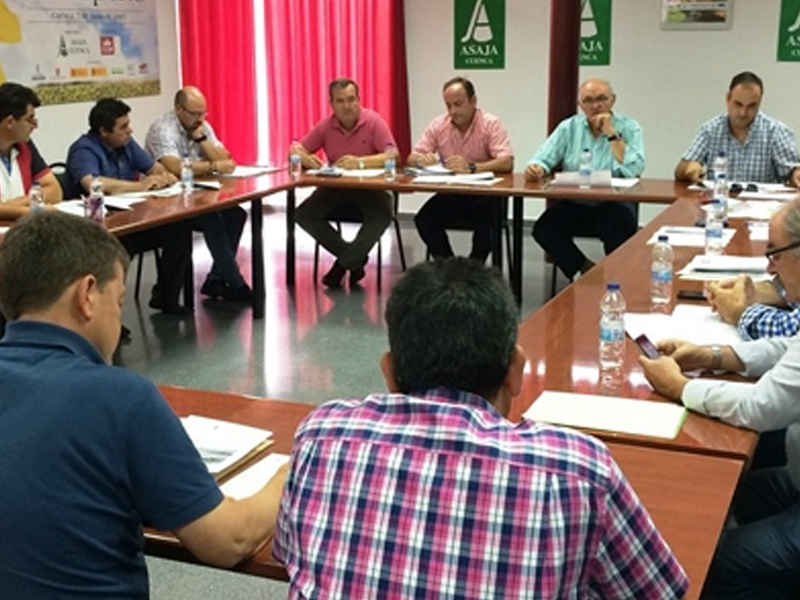 Asaja Cuenca elaborará un informe sobre los daños, términos municipales y cultivos afectados por las tormentas - imagen 1