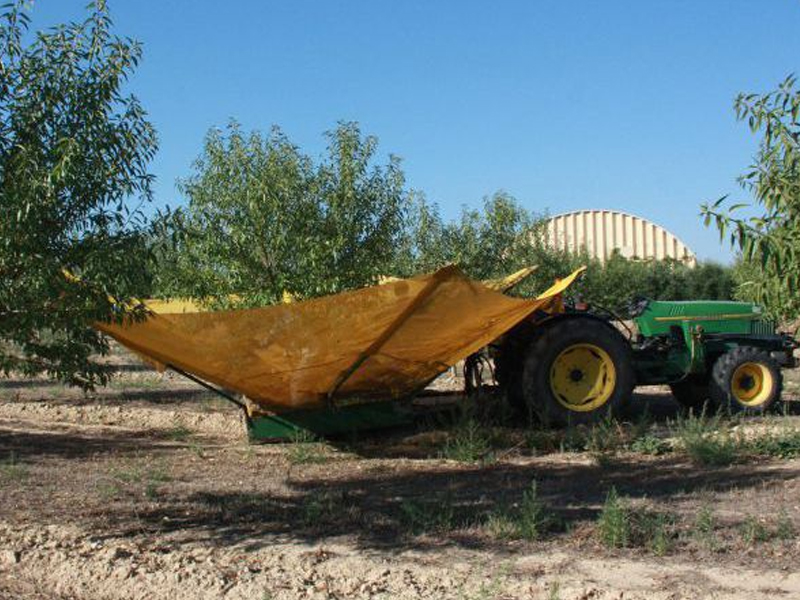 Baja el paro registrado en Cuenca en 145 personas gracias al sector agrario - imagen 1