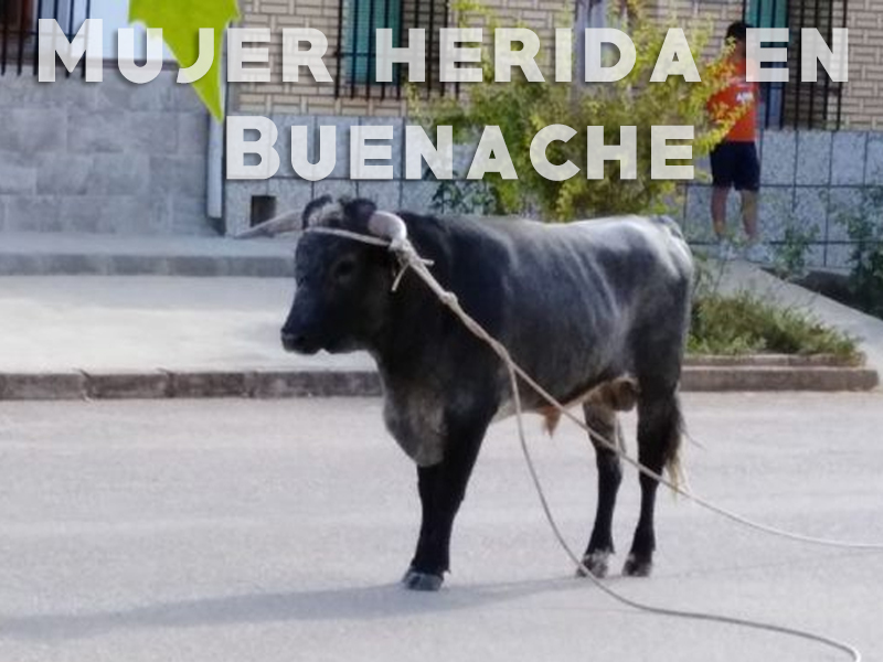 Fin de fiestas accidentado en Buenache de Alarcón tras embestir un toro a una mujer de 69 años - imagen 1