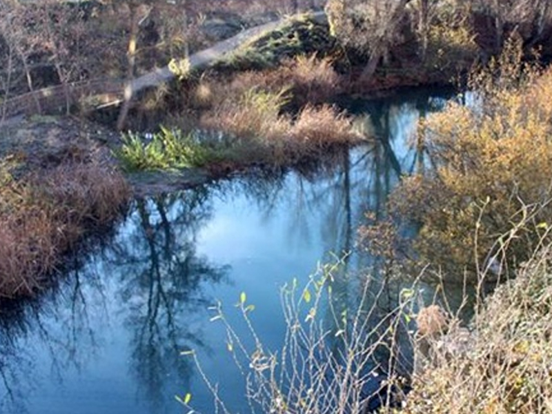 El cadáver encontrado en el Júcar es el de Jairo, desaparecido el pasado viernes en Albacete - imagen 1