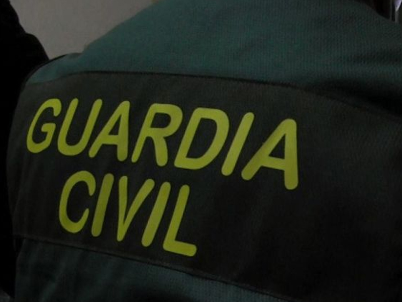 Detenido por varios robos en explotaciones agrarias por valor de 1.000 euros - imagen 1