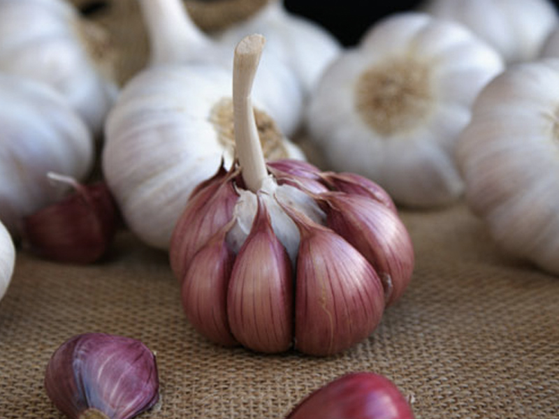 El Ajo Morado de Las Pedroñeras enamora Huelva, Capital Española de la Gastronomía 2017 - imagen 1