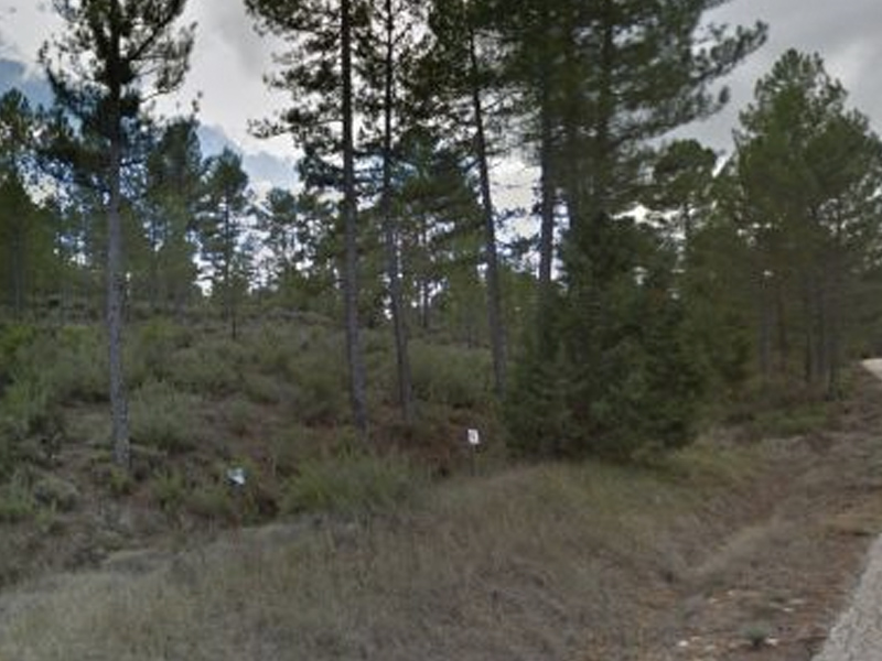 Hallan el cadáver del anciano desaparecido en Cuenca - imagen 1