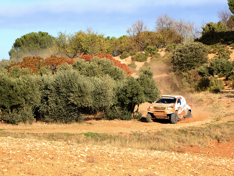 Rally tt