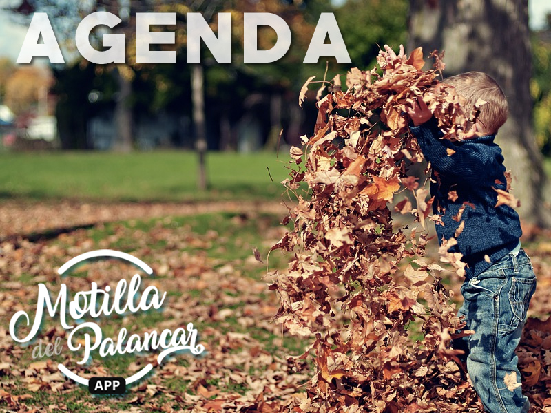 Agenda fin de semana | 24, 25 Y 26 de Noviembre - imagen 1