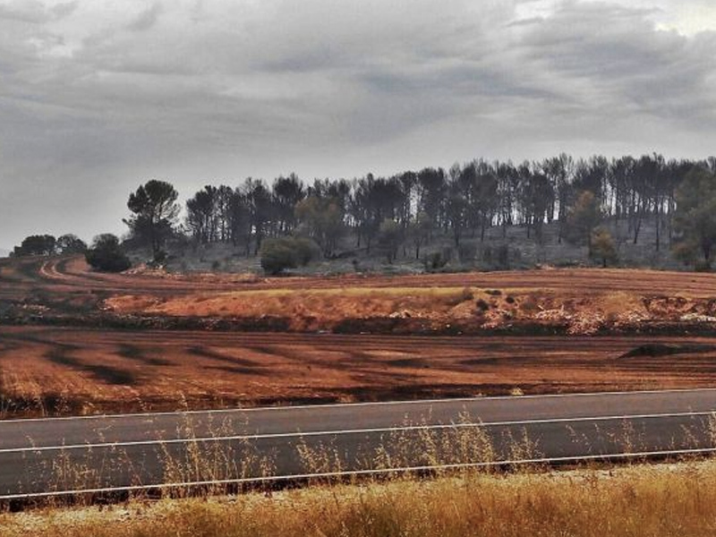 Los vecinos de Campillo podrán aprovechar la leña que se saque de la limpieza del monte incendiado - imagen 1