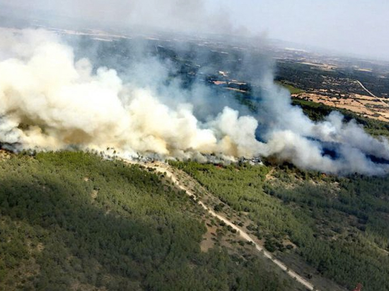 Más de 320.000€ para regenerar el área quemada en el incendio forestal de Campillo de Altobuey - imagen 1