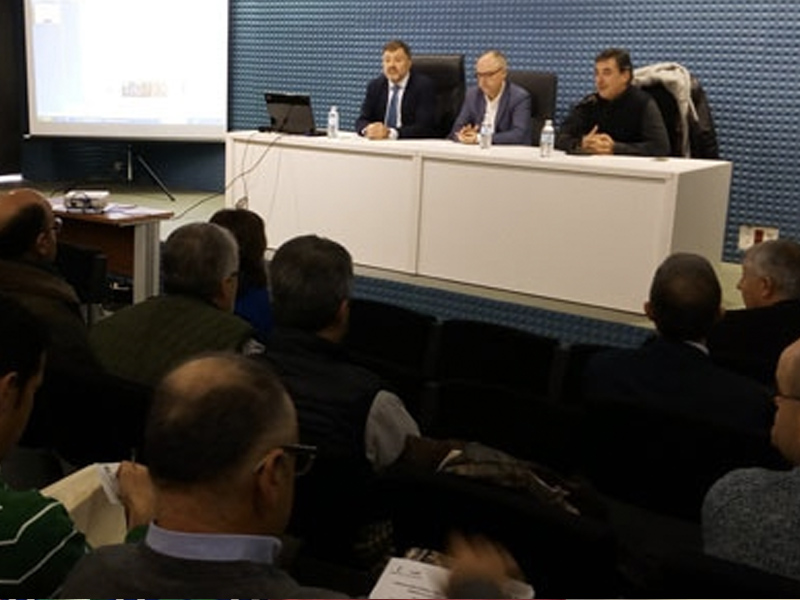 CLM apuesta por aprovechar "la importante masa forestal" como fuente de energía y creación de empleo - imagen 1