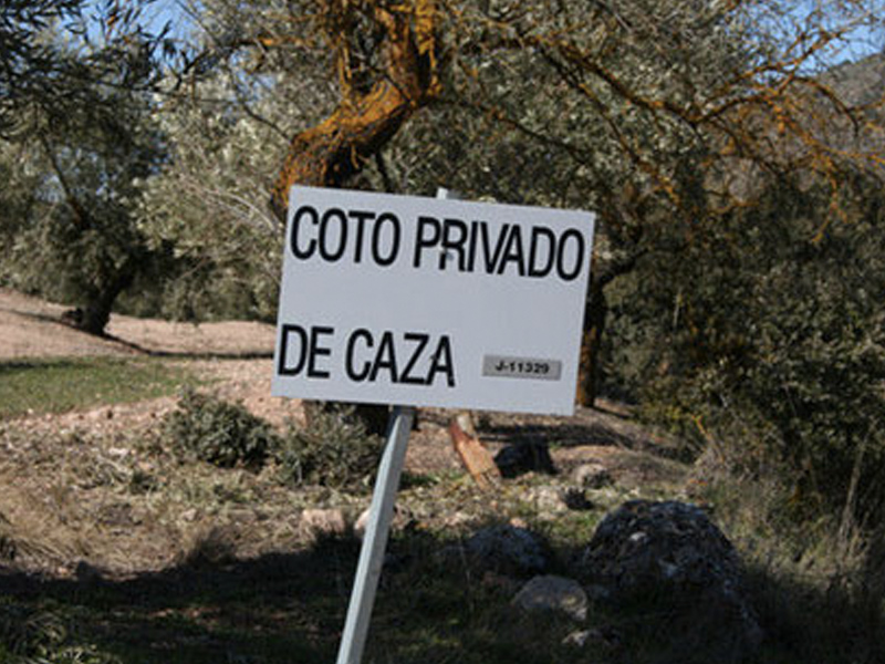 El Consejo de Gobierno remite a las Cortes regionales la nueva Ley de Caza de Castilla-La Mancha - imagen 1