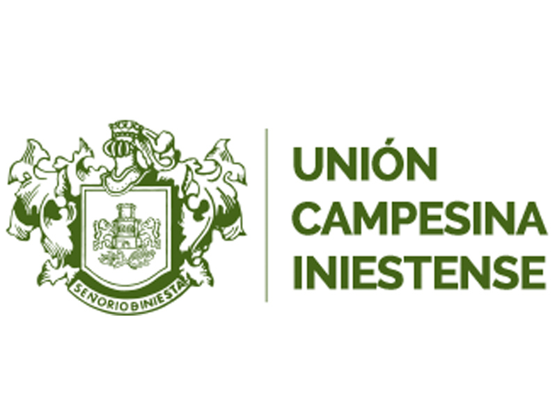 La Unión Campesina Iniestense ha organizado una jornada de vitivinicultura para conocer la situación actual del sector - imagen 1