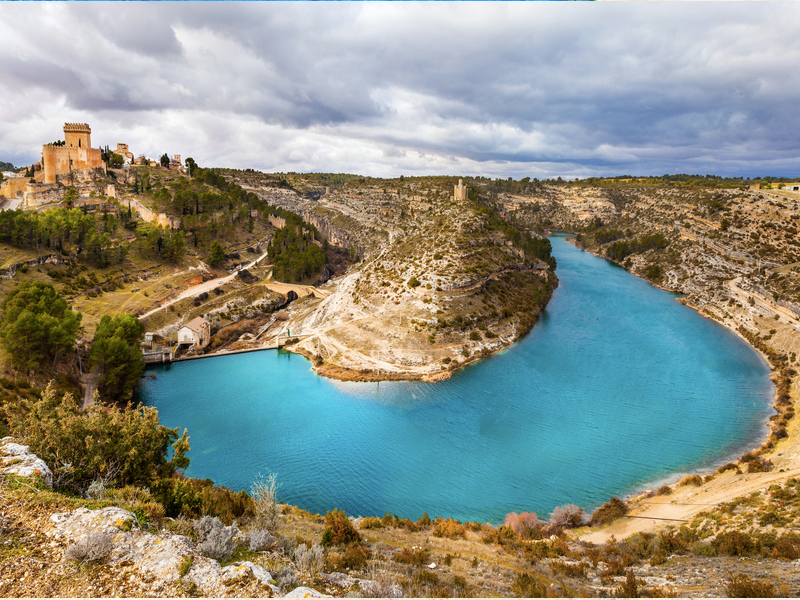 Asocian la presencia del mejillón cebra en Alarcón a la introducción del siluro - imagen 1