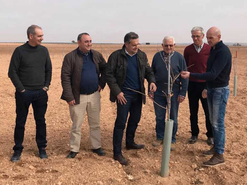 La Sociedad Agropistacho en Villamalea y Cenizate quiere formar parte de la ‘Asociación del Pistacho en CLM’ - imagen 1