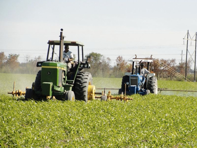 Castilla-La Mancha inyectará el viernes 23,3 millones de euros de la PAC - imagen 1