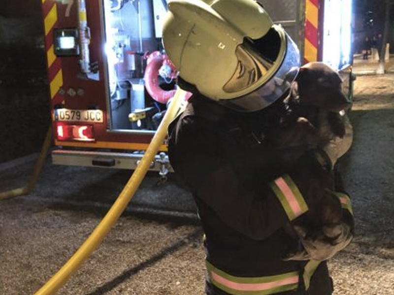 Arde una nave llena de palets en Aguas Nuevas y los bomberos realizan un entrañable rescate - imagen 1