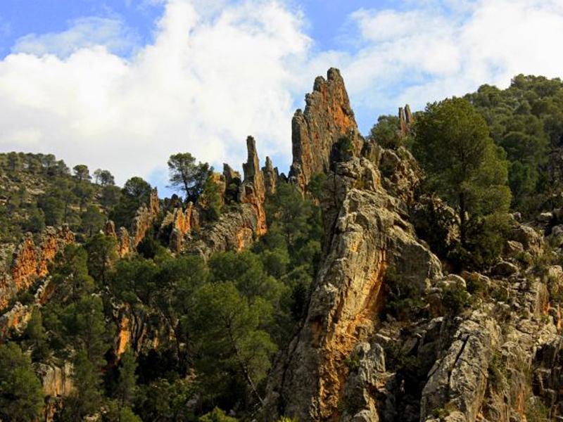 La Junta propondrá una mejora de los accesos a las Hoces del Cabriel - imagen 1