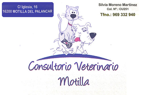 Imagen veterinario