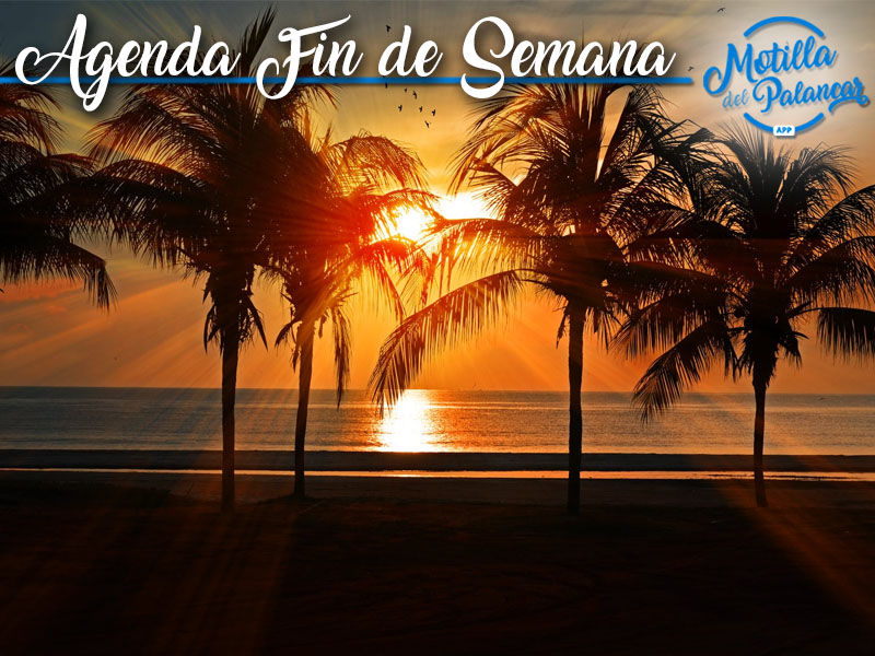 Agenda motilla aplicaci%c3%b3n