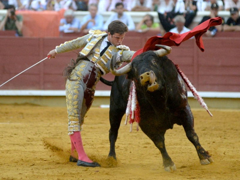 La maestría de El Juli y el duende de Morante revientan la plaza de Cuenca - imagen 1