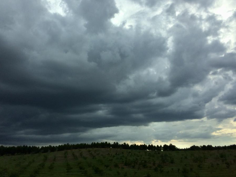 Meteorología activa la alerta amarilla por tormentas con rachas muy fuertes de viento para este martes - imagen 1