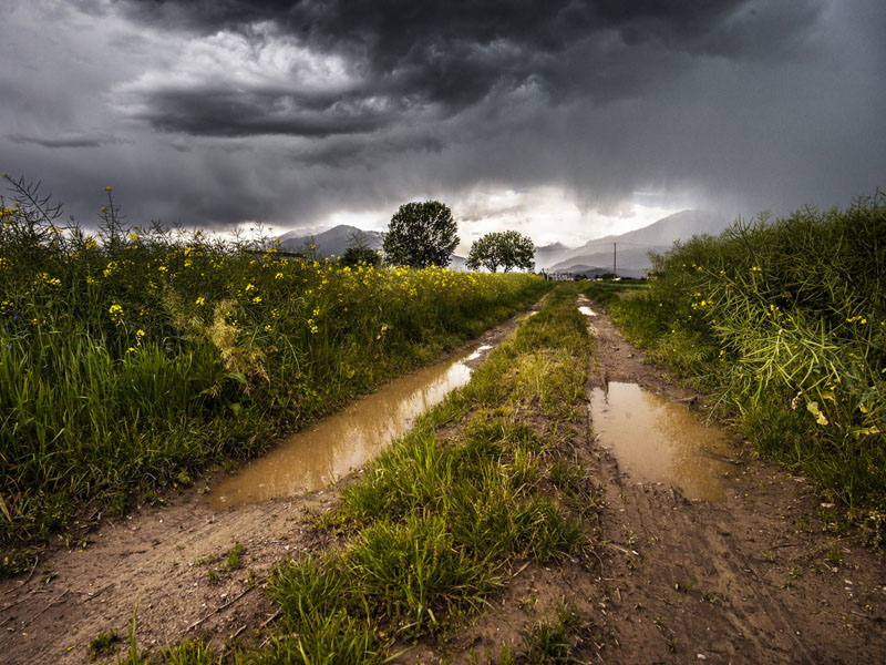 Tormentas en Castilla-La Mancha: daños en cultivos y continúan los avisos - imagen 1