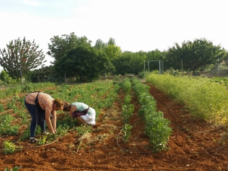 El nuevo convenio del campo contempla una subida salarial del 2 por ciento en 2018 y 2019 - imagen 1