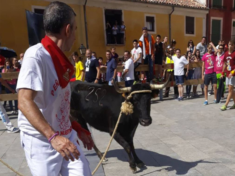 Satisfacción en el Ayuntamiento de Cuenca tras un San Mateo "sin incidentes y con mucha participación" - imagen 1