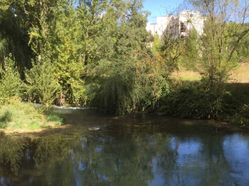 Las obras para reducir riesgos de inundación del Júcar comenzarán la próxima semana - imagen 1