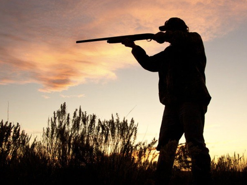 Todo lo que hay que saber sobre la temporada de caza que comienza en CLM - imagen 1