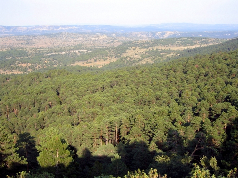 Cuenca, seleccionada para llevar a cabo un proyecto innovador en la UE - imagen 1