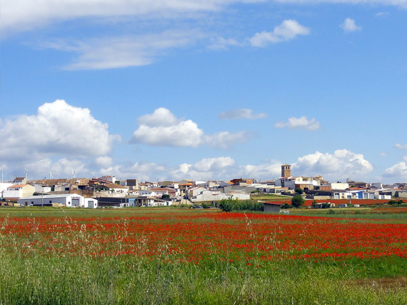 Campillo
