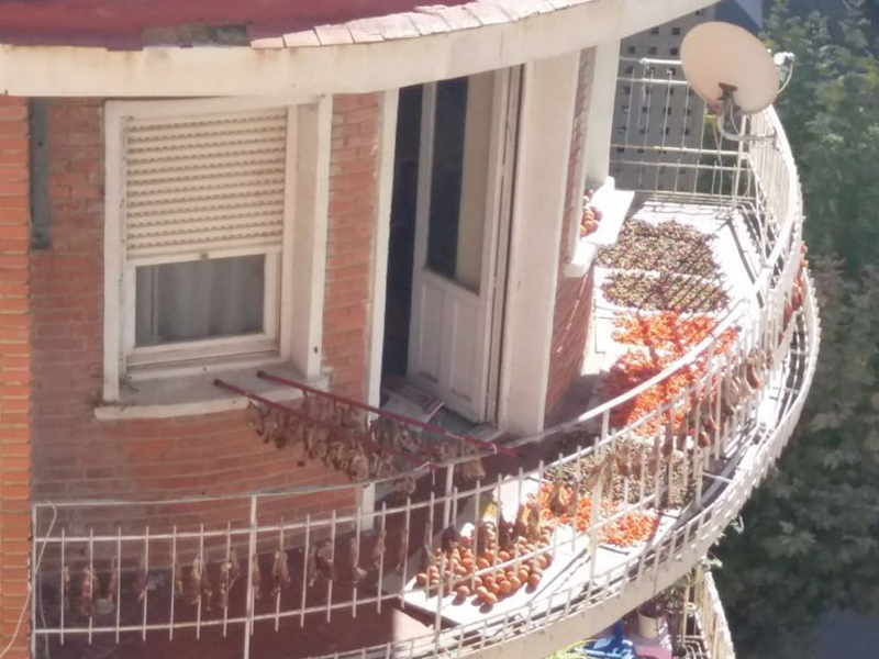 Balco%cc%81n aves