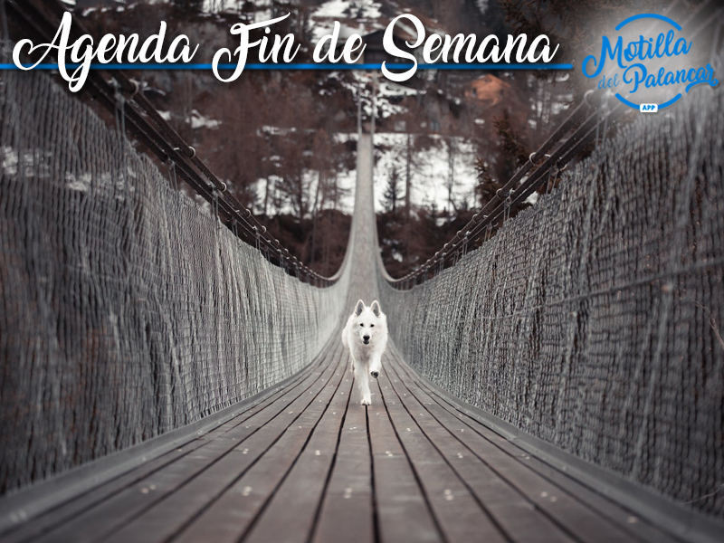 Agenda fin de semana | 23, 24 y 25 de Noviembre - imagen 1