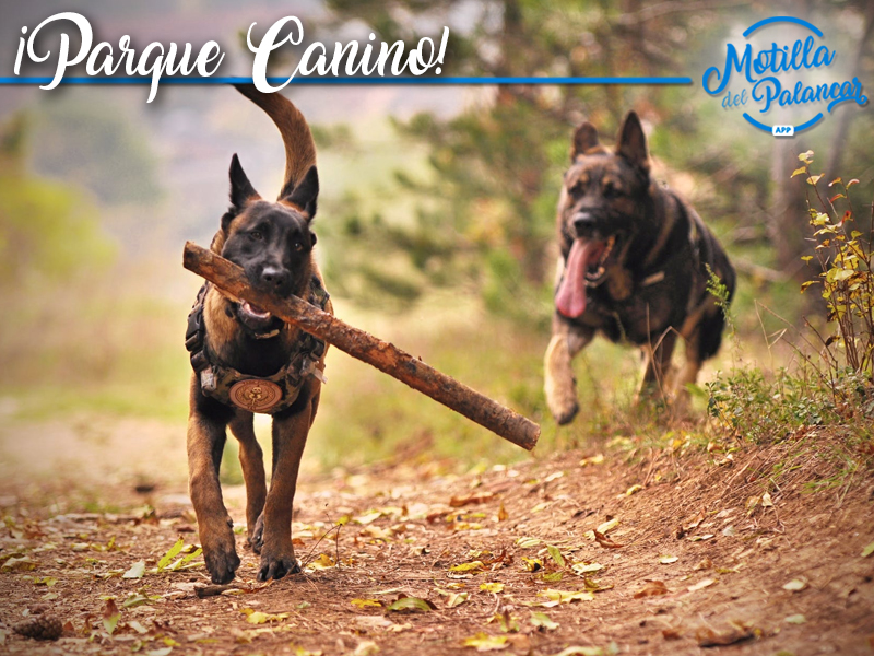 Bando | Inauguración Parque Canino "El Carrascal" - imagen 1