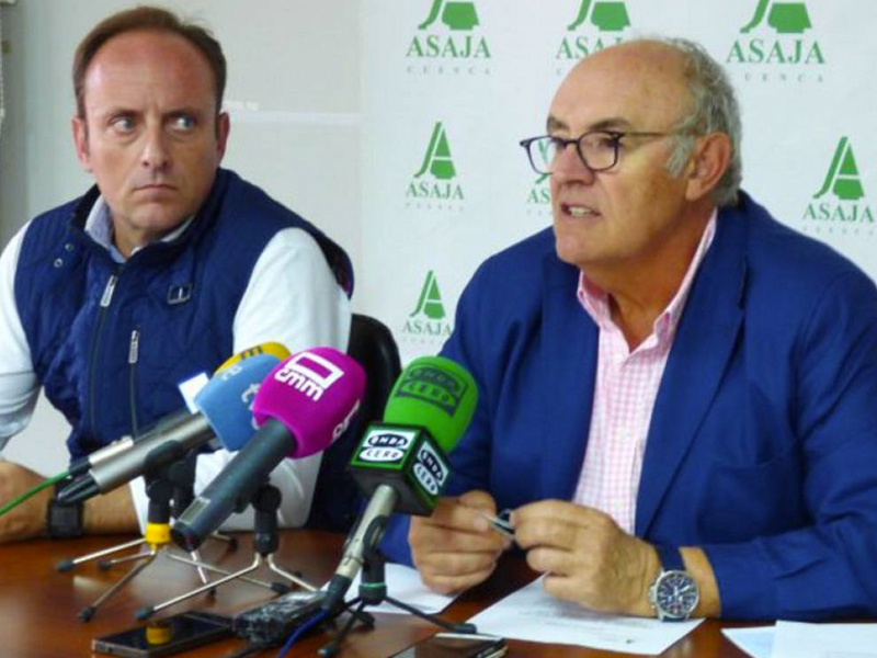 ASAJA organizará este mes una reunión para reactivar la lonja agropecuaria de Cuenca - imagen 1