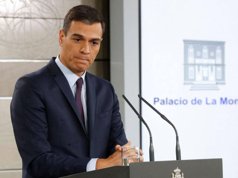 P. sanchez