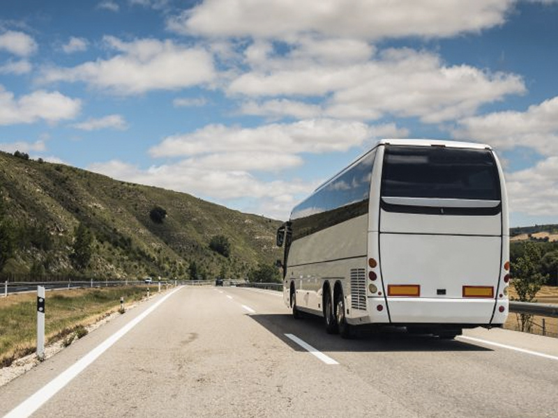 Casi la mitad de los 62 autobuses revisados en la última campaña de transporte escolar fueron denunciados - imagen 1