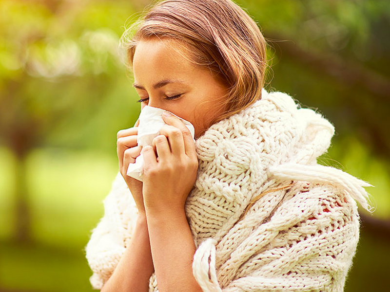Alergias al polen en pleno invierno: las cupresáceas, disparadas - imagen 1