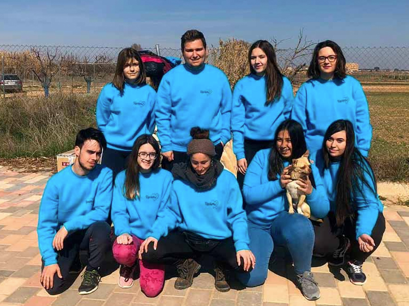 La Asociación Rovame organiza una MasterClass para conseguir donaciones para los perros de La Jara Animal - imagen 1
