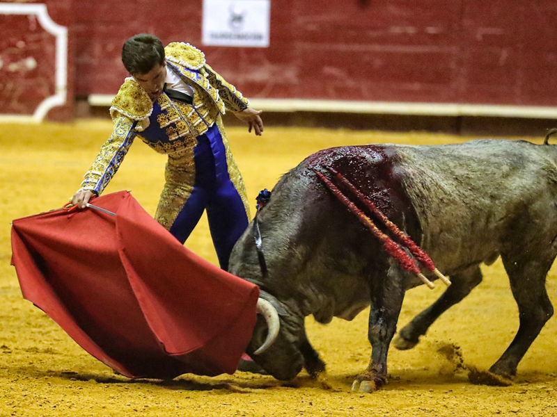 Rubén Pinar quiere encerrarse con 6 toros en la Feria de Albacete - imagen 1