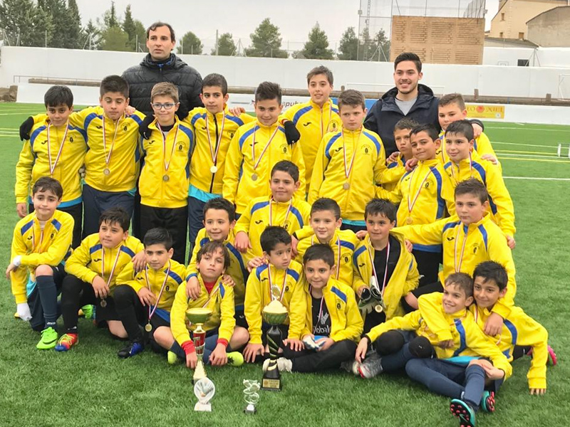 Emd motilla con cup