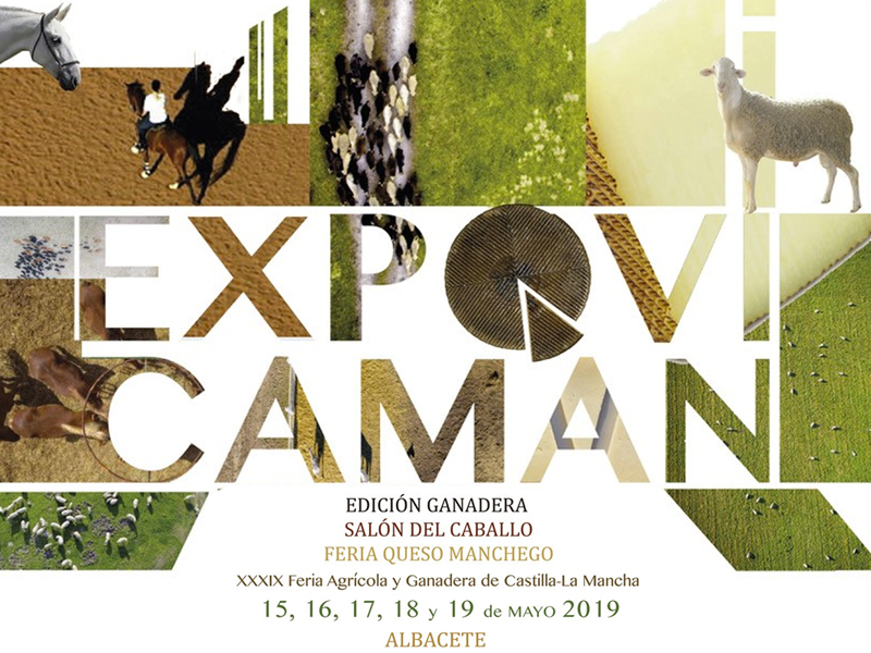 Feria expovicaman ganadera